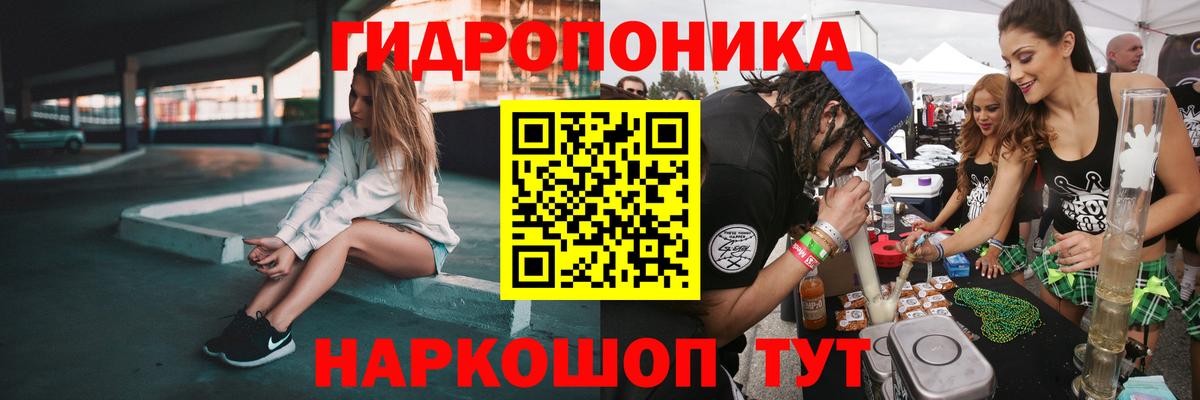 МАРИХУАНА сатива Советск